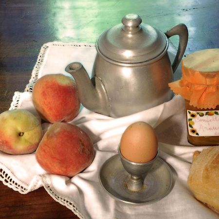 バローロ アグリツーリズモ イル ジョーコ デル オカ Bed & Breakfast エクステリア 写真